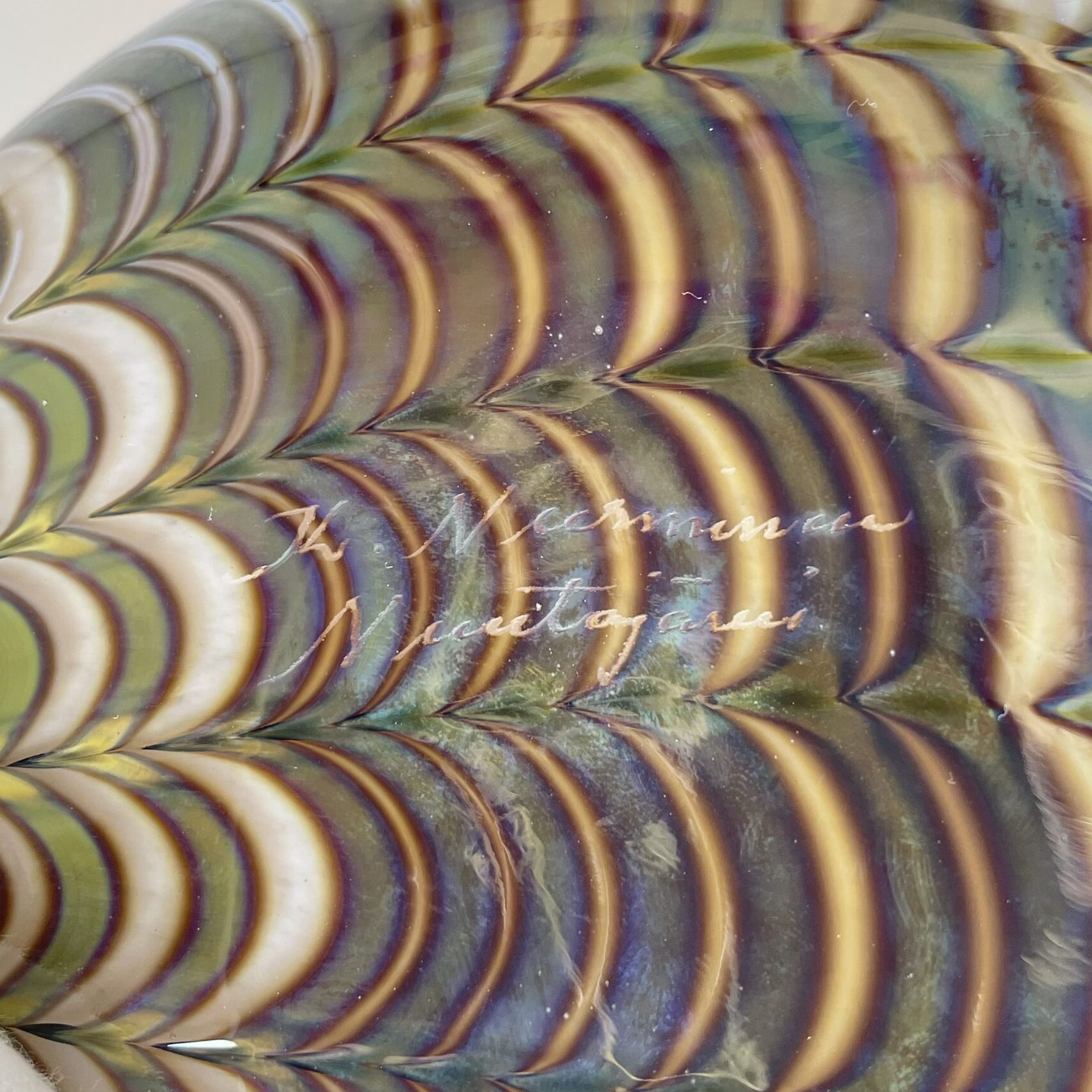 Kerttu Nurminen | Nuutajärvi Pro Arte | Merisiili - art glass| Signature - Image 4