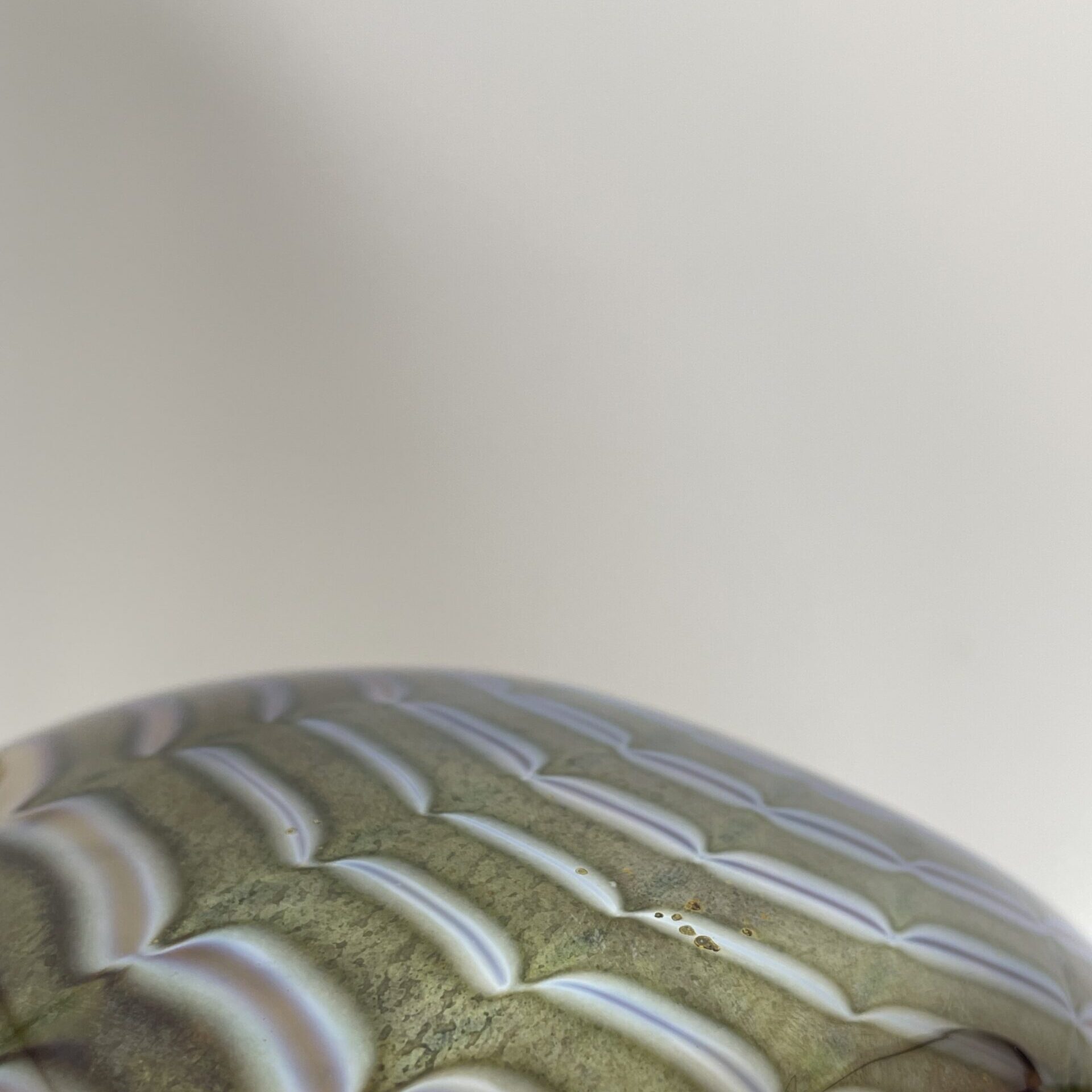 Kerttu Nurminen | Nuutajärvi Pro Arte | Merisiili - art glass| Signature - Image 6